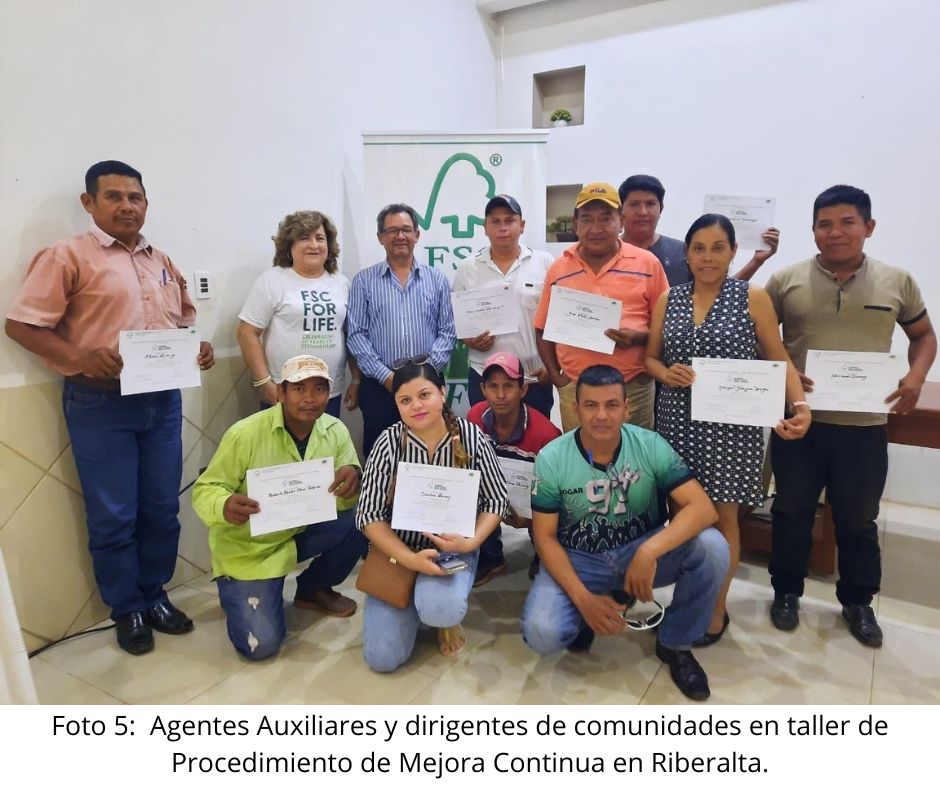 Agentes auxiliares