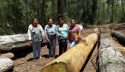 GD_750x435-70_cropped_auto_1430424241_image