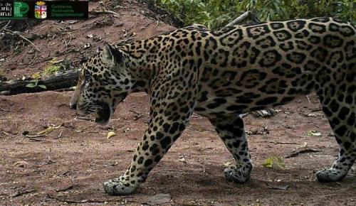 GD_750x435-70_cropped_auto_1481748297_image