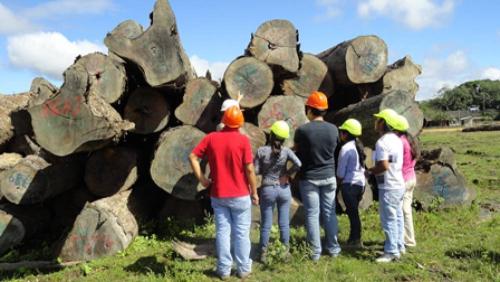 Curso sobre certificación FSC para estudiantes universitarios. – Estudiantes de Ingeniería Forestal de la Universidad Autónoma Gabriel René Moreno (UAGRM) de Santa Cruz, durante las prácticas de campo de un curso sobre certificación de manejo forestal y cadena de custodia FSC. (© CFV / FSC Bolivia)