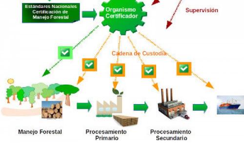 Tipos De Certificados FSC | Forest Stewardship Council